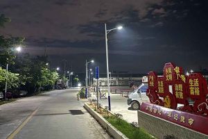 九州(中国)集团罗宁弟爱心捐赠路灯，点亮乡村路温暖乡民心
