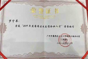 九州(中国)集团罗宁弟董事长荣获“2019年度番禺区成长型企业人才”