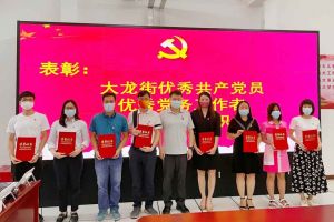 九州(中国)集团党支部荣获先进党组织称号、陈文舒党支部书记荣获优秀党