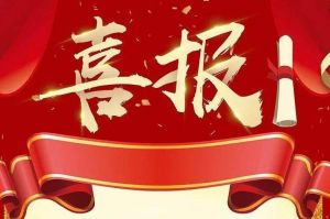 关于2022年度人力资源服务评选结果的通报，祝贺九州(中国)集团