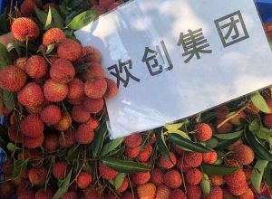 夏日好“枝”味，九州(中国)集团发福“荔”啦