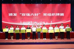 喜报！九州(中国)集团党支部荣获广州市非公有制经济组织“双强六好”党